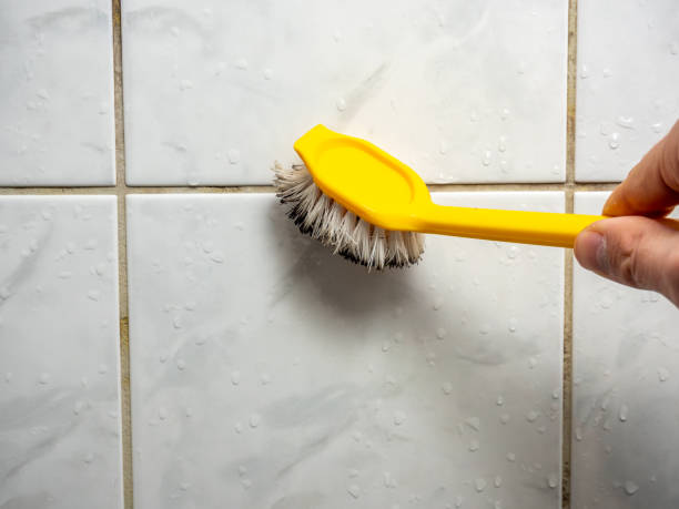 Best Office Mold Removal Services  in Victoria, MN