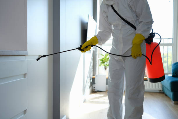 Best Mold Remediation  in Victoria, MN