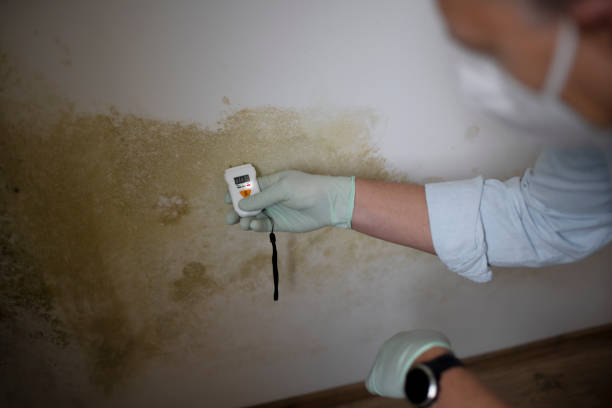 Best Mold Testing  in Victoria, MN