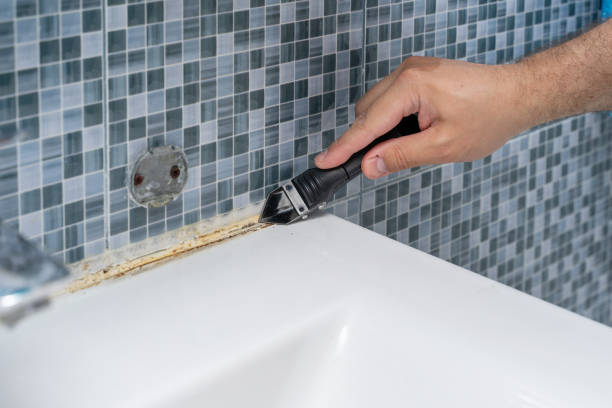 Best Local Mold Removal Service  in Victoria, MN