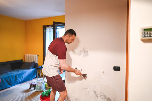 Best Black Mold Removal  in Victoria, MN